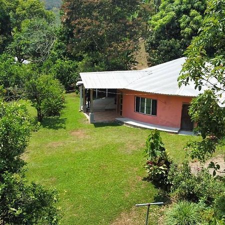 Casa En La Naturaleza Villa Santa Cruz de Yojoa Kültér fotó